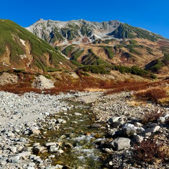 🏞️ 雷鳥沢の下に広がる景色。
思わず足を止めたくなる美しさ。