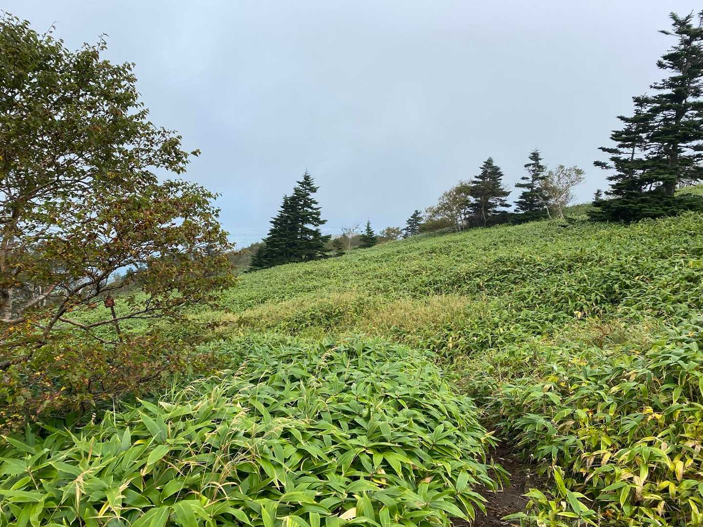 なんか素敵な道なの〜〜😍
