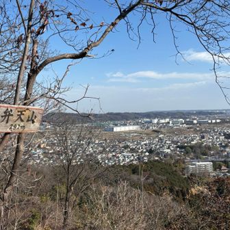 ほどなくして網代弁天山山頂
ベンチはないけど座れる岩がゴロゴロ
ばくだんいわは　ようすを　見ている…
(本日ドラクエ脳)