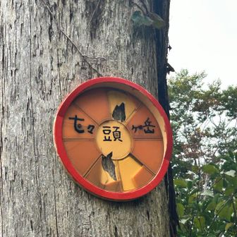山頂🙌