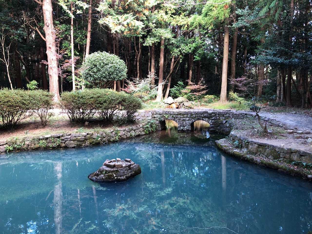 「心顔の鏡池」に着いた。綺麗だな。