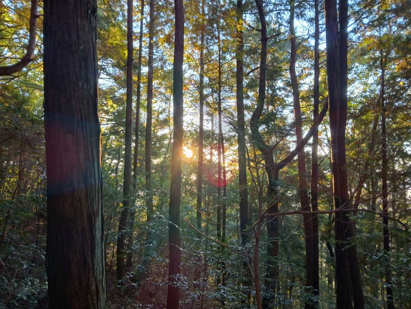 🌄が温かくなってきた感じ👍