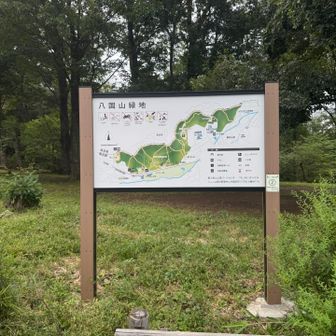 八国山緑地