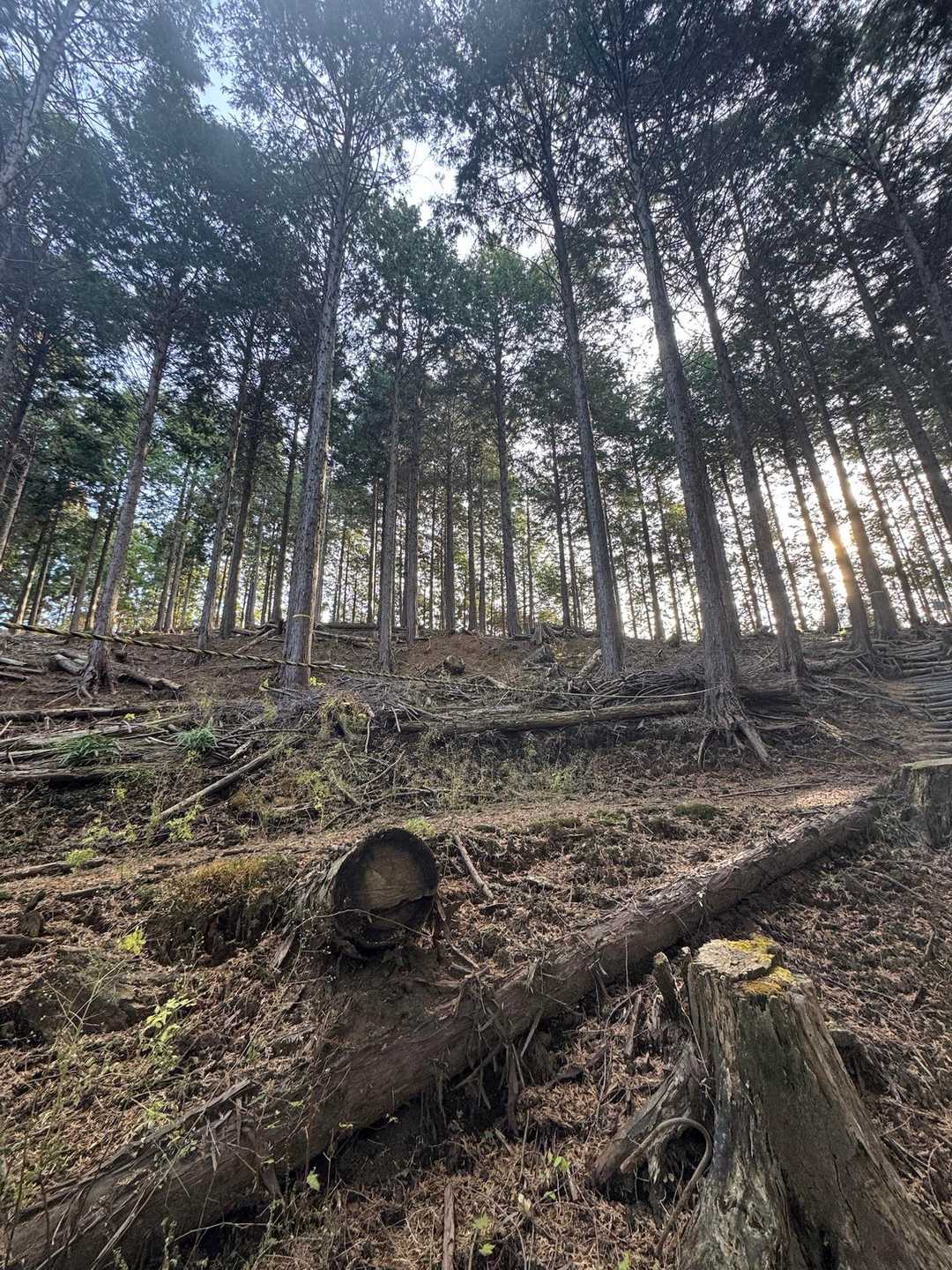 水とエネルギー館-高取山 周回コースの写真