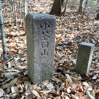 古墳の中でピークハント。
三角点は何処に…？