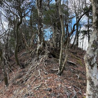 斜度がキツめの登り返しが何度も😂距離は短いよ👍