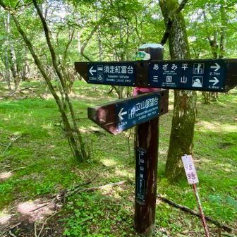 立山山頂から展望台へ