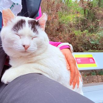 名前はマロちゃんだよ、と地元住民の方