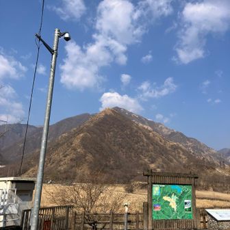 これからこいつに登るんや。