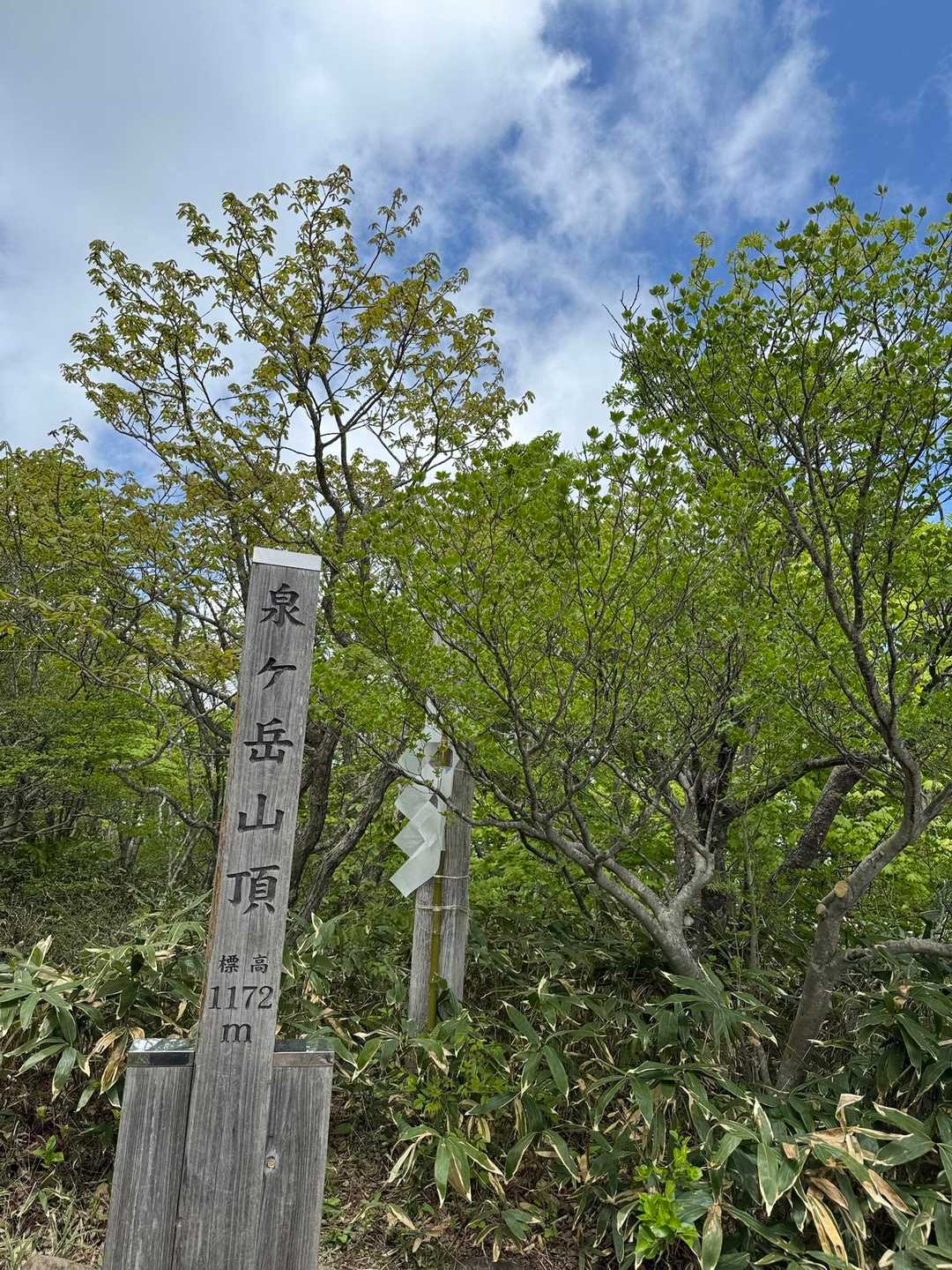 水神（泉ヶ岳〜北泉ヶ岳縦走）コースの写真