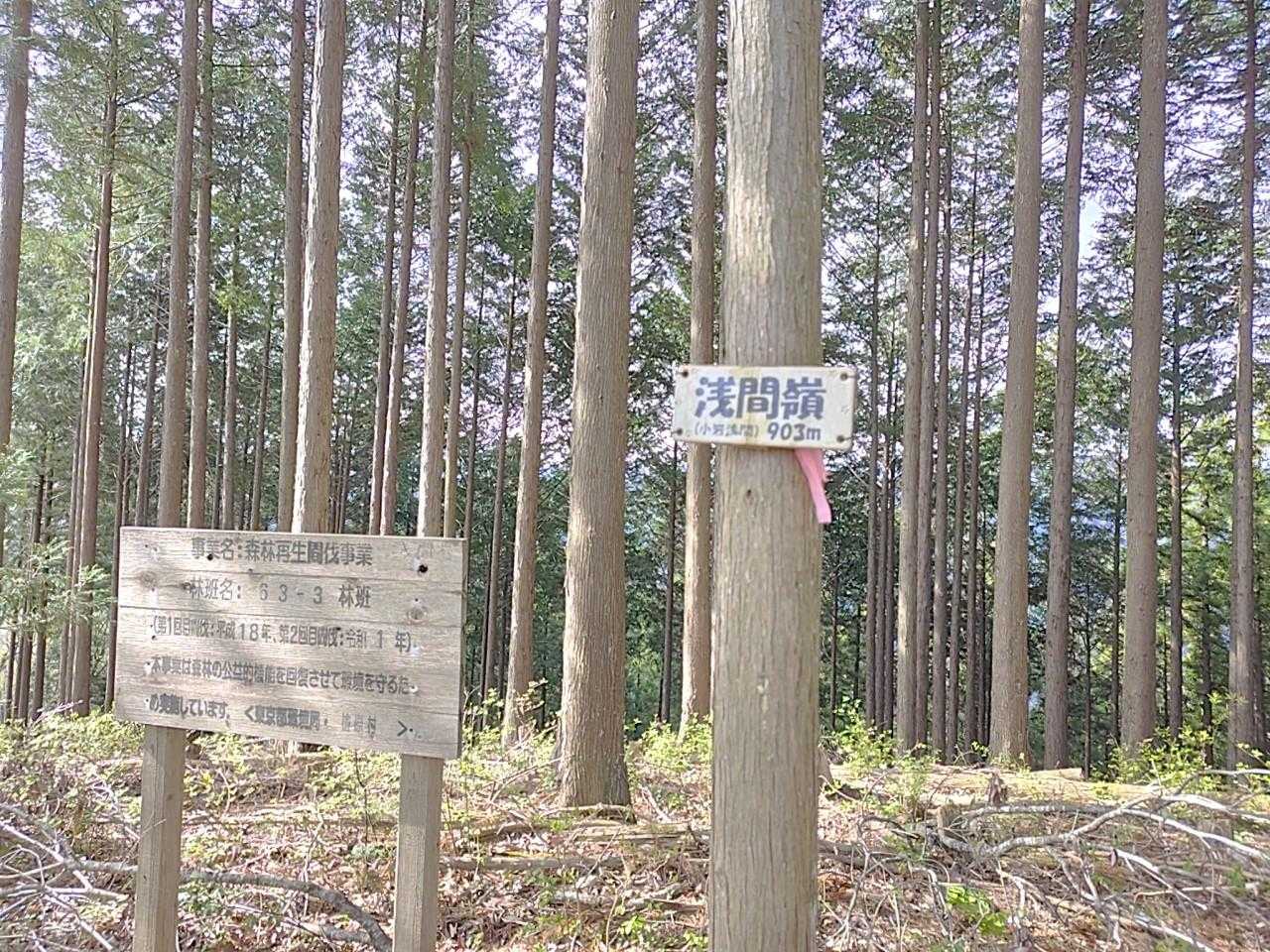 登頂