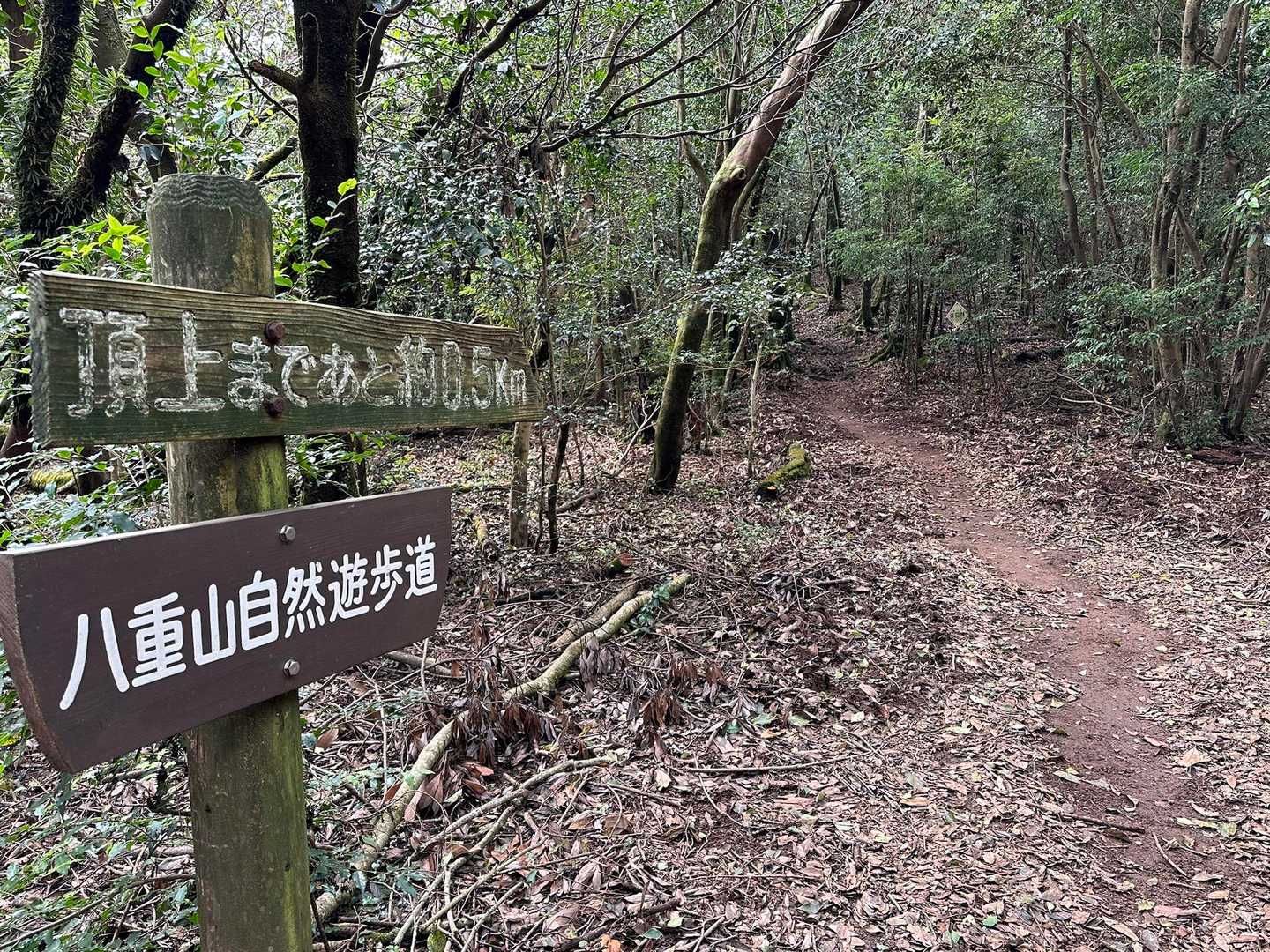 八重山登山道入口-炭焼窯跡-八重山 往復コースの写真