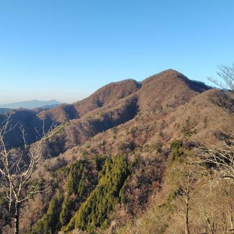 畦ヶ丸と愛鷹山