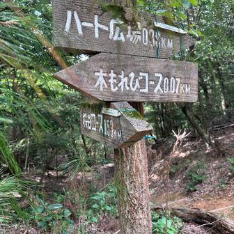 なかなかゴールにつかない