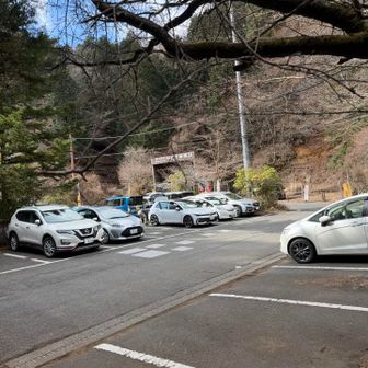 パーキング🅿️数台まだ停めれます