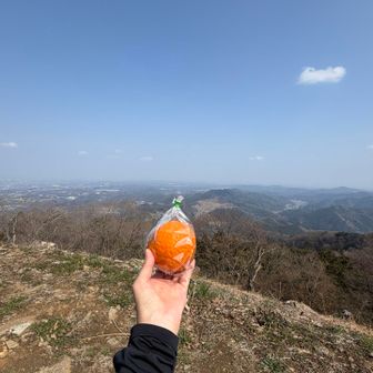 皇鈴山⛰️まではアスファルト道です
景色の良いとこで、駐車場の近くで購入したみかんを🍊食べました
常人には、硬くて剥くのが大変かもです
手がベタベタになりましたが現地の物を食べるって楽しいですよね