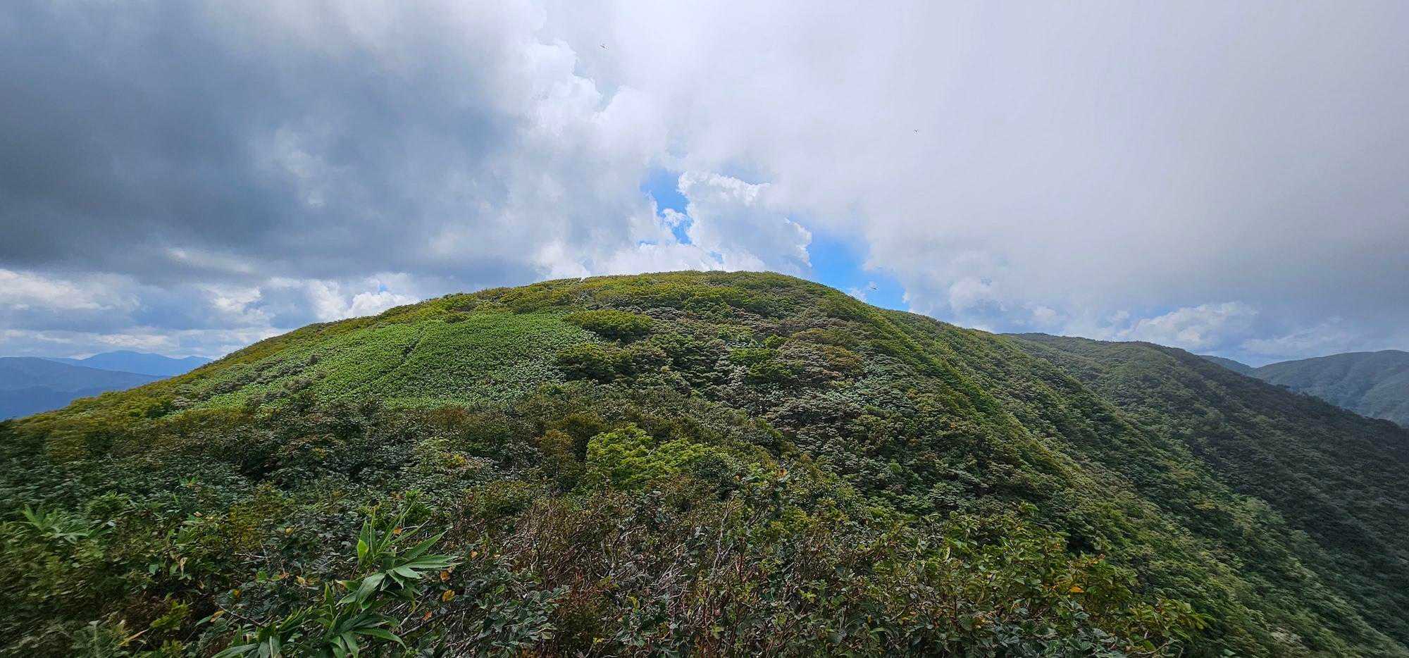 前回はガスでよく見えなかったけど、こんもりのお山ですね～
見晴らし台から銀杏峯を振り返る。
