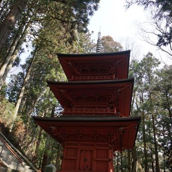 ここにきたら、これを見なくちゃ。