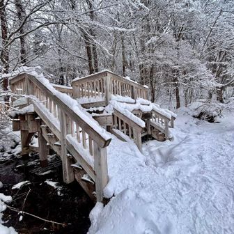裏茶臼岳の湖畔もこんなのを作ればいいのに。

五色沼まで行くつもりだったけど午後からの悪天にここで折り返す。記録はこの辺からの往路のみ。
