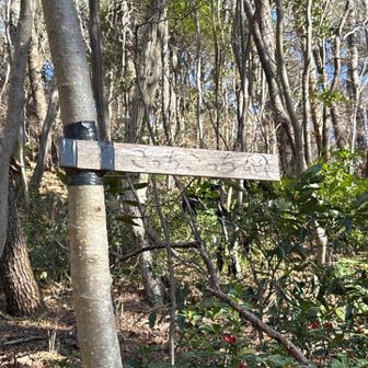 丸山に向かうところで
お化けに遭遇。
ほんとかよーと思いつつ登りました😏