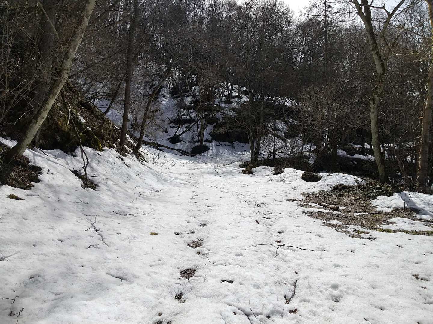 残雪はちょっとの区間