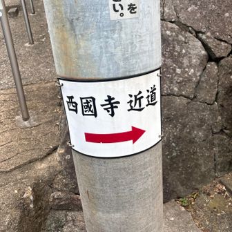 近道👉を