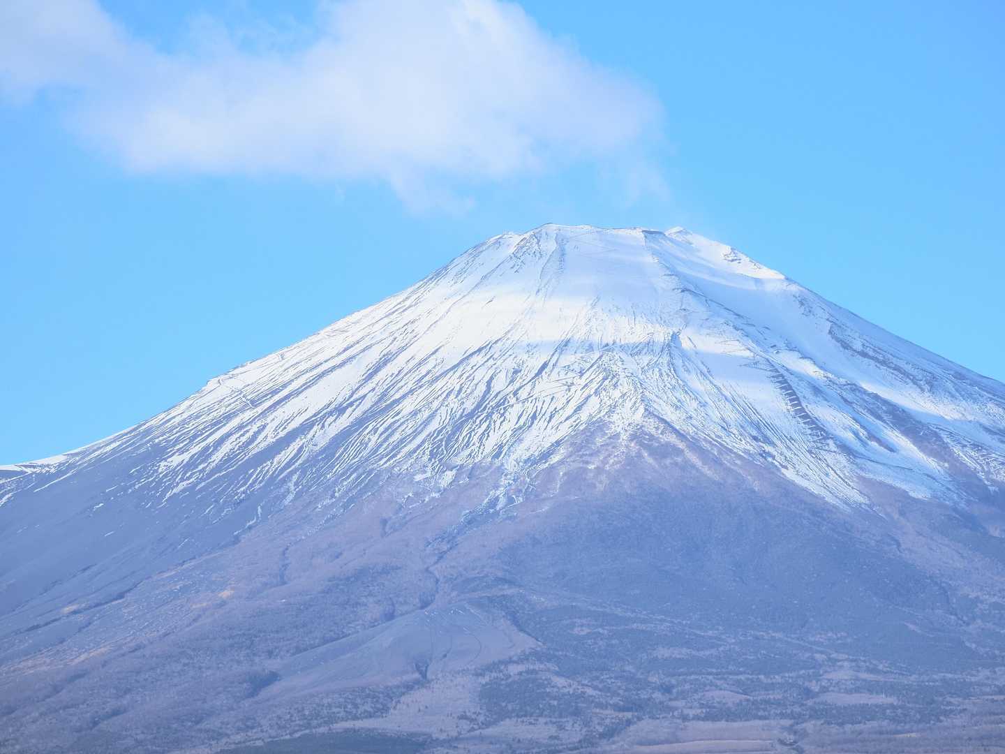 鉄砲木ノ頭 往復コースの写真