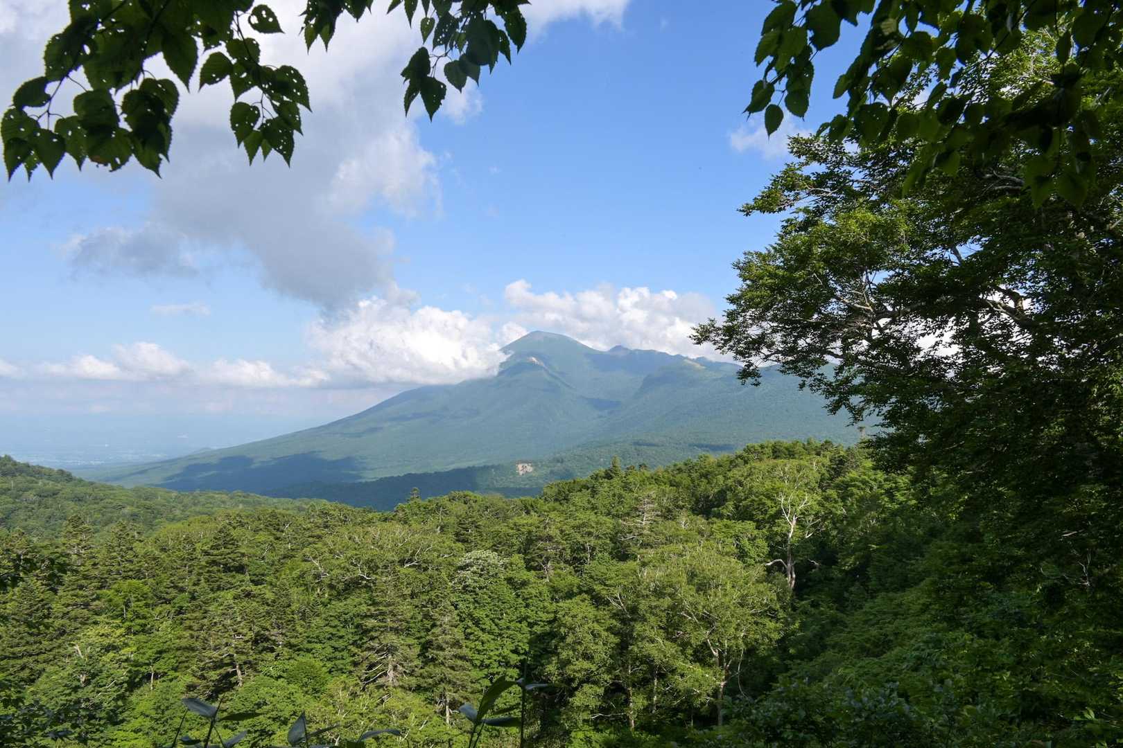 稜線上では見ることができなかった岩手山が姿を現す。