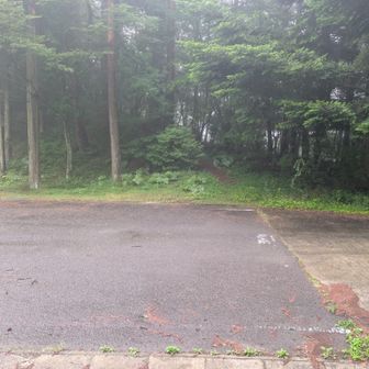 鷹山公園。舗装路に出て
すぐに山道へ