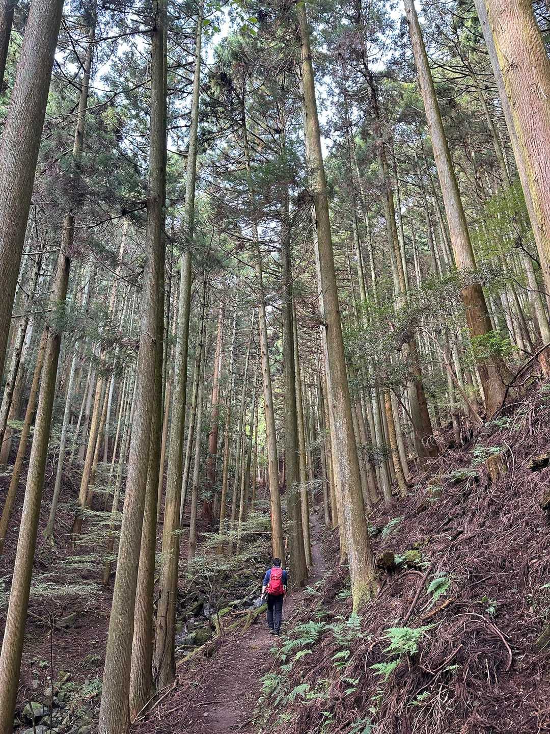 登りは二本松コース