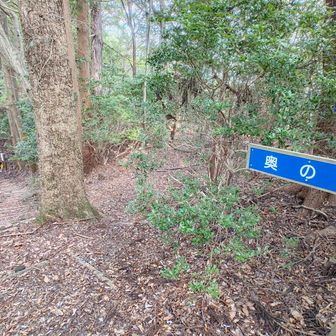 奥の院と家康隠れ岩の分岐です。標識だと奥の院方面は下り坂ですが、YAMAPの地図上のコメントには家康隠れ岩の方面に進むのが正解とありましたので、信用して右に進みます。