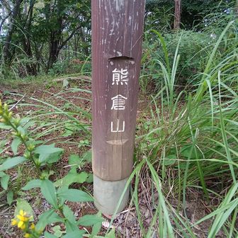 ここで引き返す