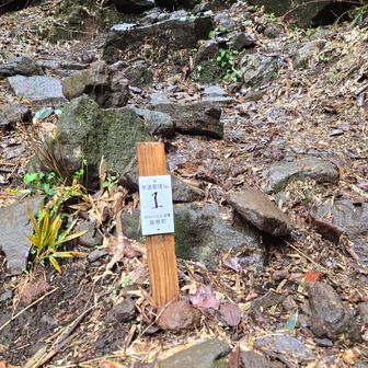 箱根はこの標識が50ｍおきにあるのですね。