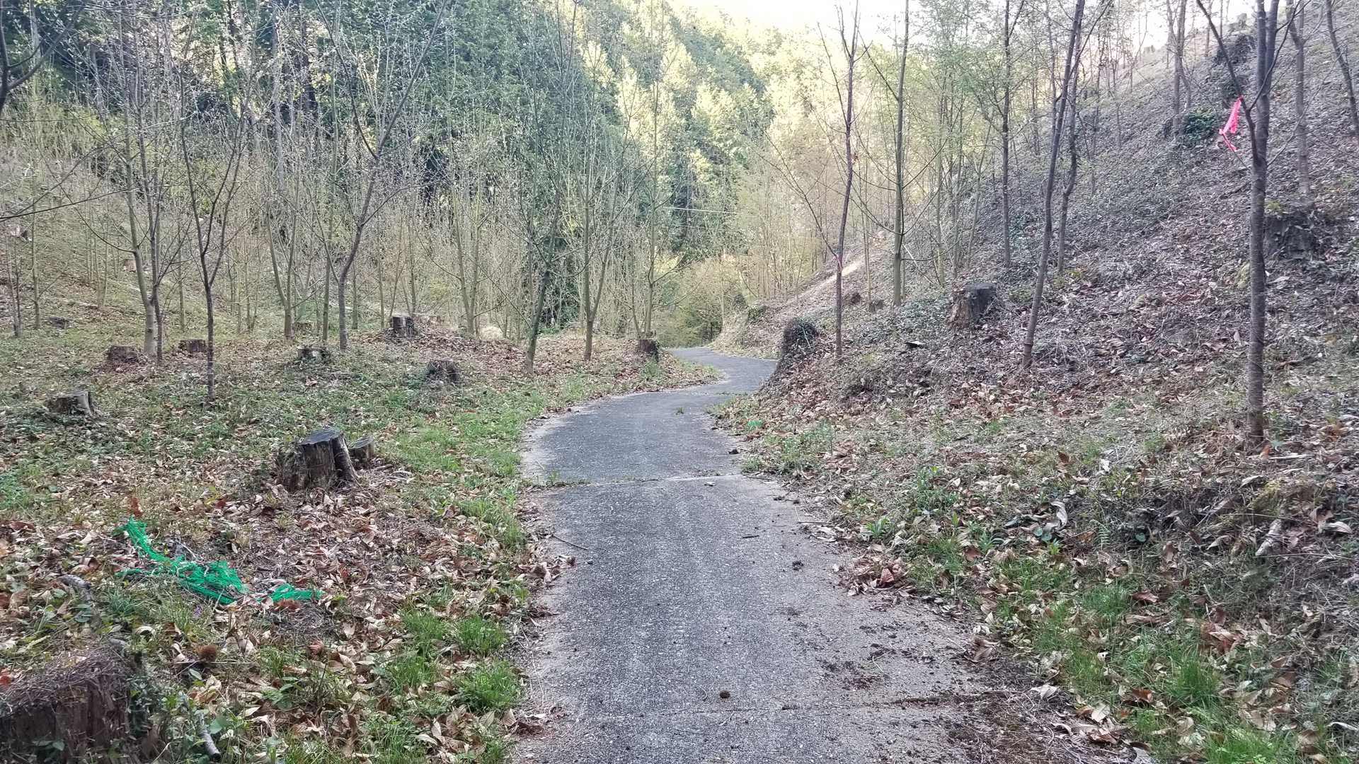 舗装道路を降りていきます。