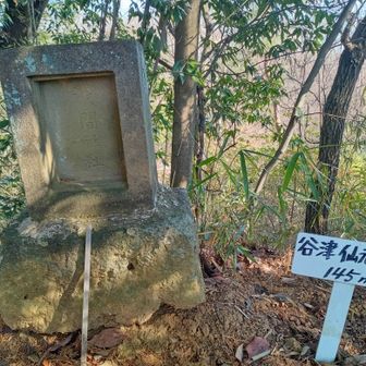 谷津仙元富士　▲145m山頂♪