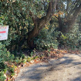 あとは、草壁港に向かって下ります