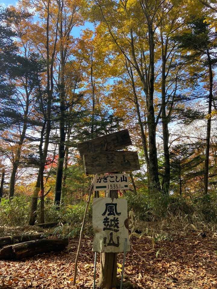 1年ぶりの風越山🍁明るくなってる✨でも展望は…😉