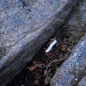 山頂にタバコ　🚬　　🫩💬

