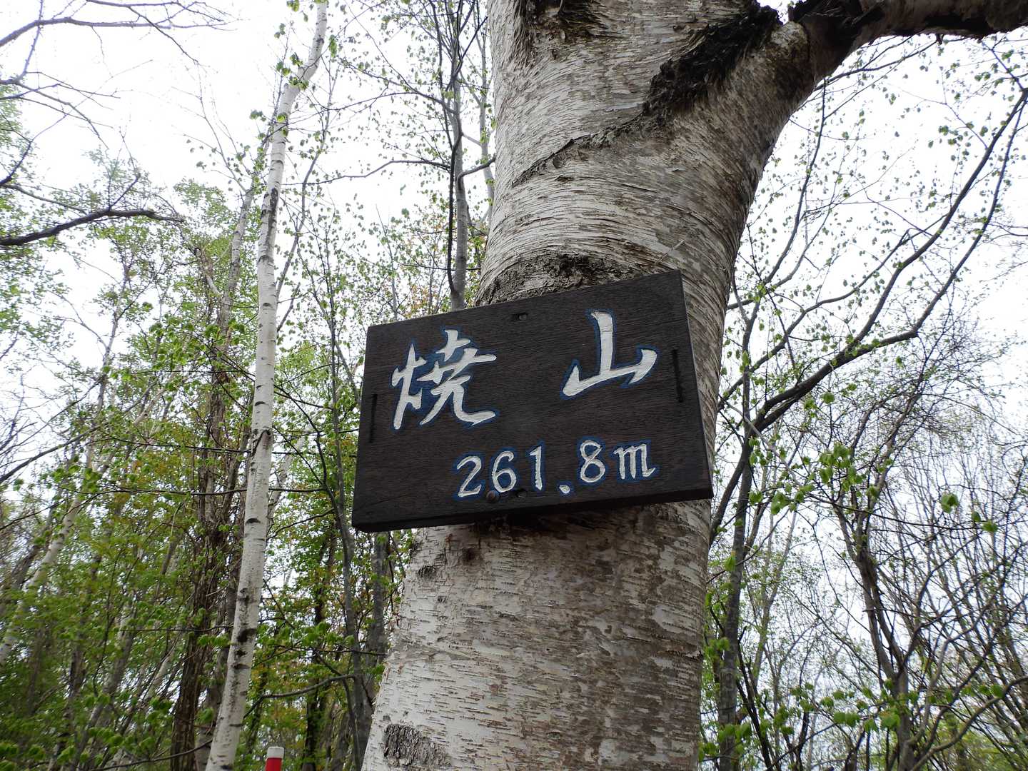 山頂到着