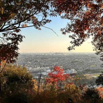 山頂からの眺望ね🪟