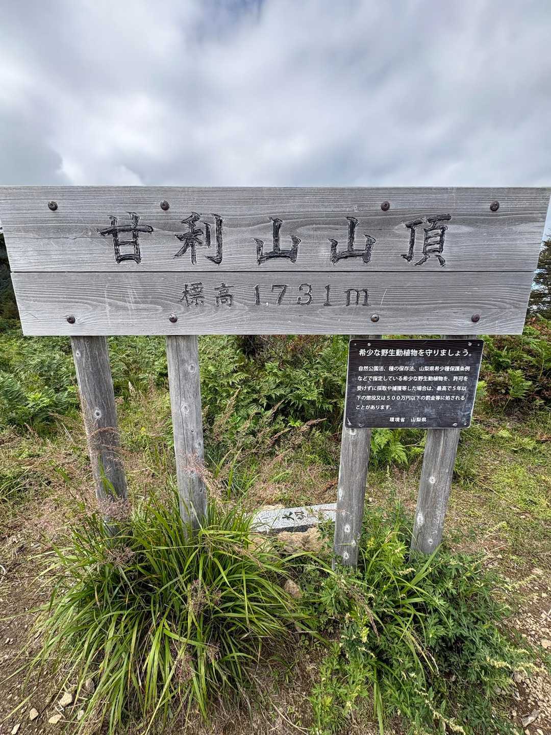 甘利山登山口-甘利山-南甘利山 往復コースの写真