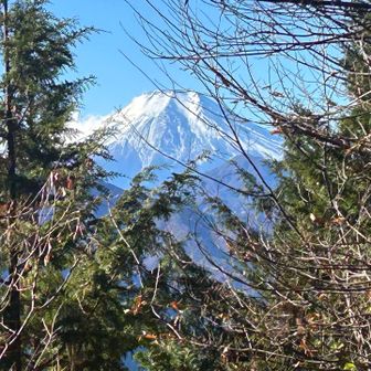 高畑山からの富士山、これが見たかった！