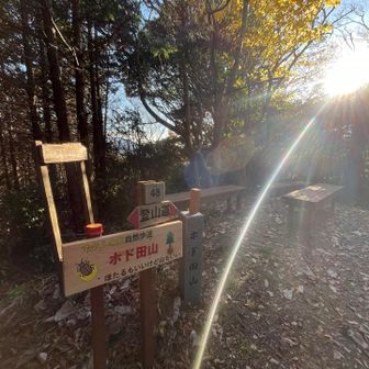 人いないですね〜。ほたるの時期なら多いのでしょうか