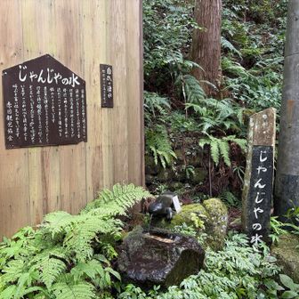 水は冷たかったです