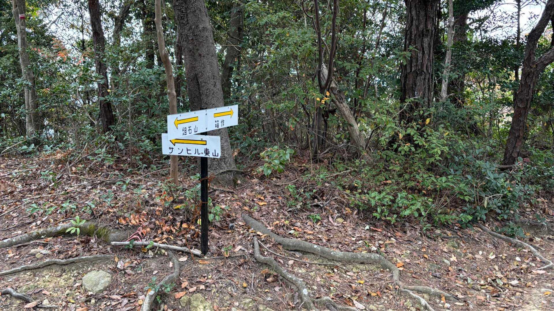 わかりやすい新しい案内指標もあるんでほんと道迷いもしなくて助かります🙇‍♀️。