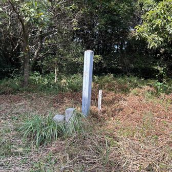 ほら〜此処より岩場で休んで良かったじゃん🤭
てきな山頂でした😛