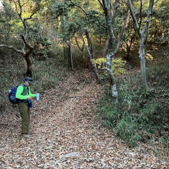 難易度はないけど、登ったり降りたりの繰り返し
おしゃべりしながらなのでさほど苦にならないけど、男性人のペース速い(･･;)