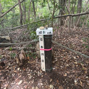 お昼が近いので一周して帰宅