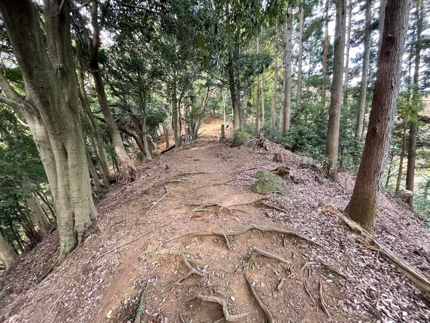 九十九折りの道になるまでは緩やかな道で心地よい