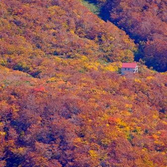 金明水避難小屋あたりの紅葉はすごくいい感じだったので、できれば周回したかったけど、飛び石で尿前川を渡る自信がなかった。